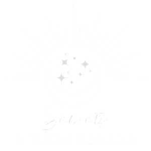 Logo Secrets d'Étincelles en blanc, cabinet de soins énergétiques, accompagnements holistiques, créations artisanales à Saint Marcel sur Aude, près de Narbonne