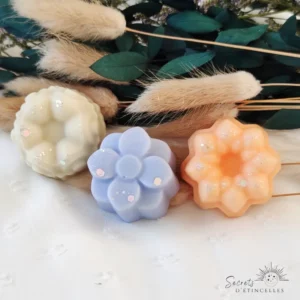 fondants parfumés avec cire végétale de soja et fragrance de Grasse, fabriqué en Occitanie, dans l'Aude, à Saint Marcel sur Aude près de Narbonne