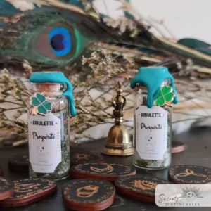 spell jar, amulette d'intention porte bonheur rituels, thématique Prospérité